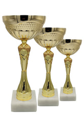 CTS 098 | SET de 3 Cupe Sportive - TrophyShop